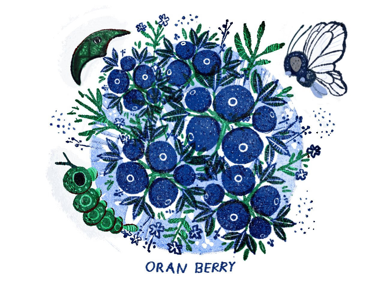 Oran Berry (2021) | Adobe Photoshop