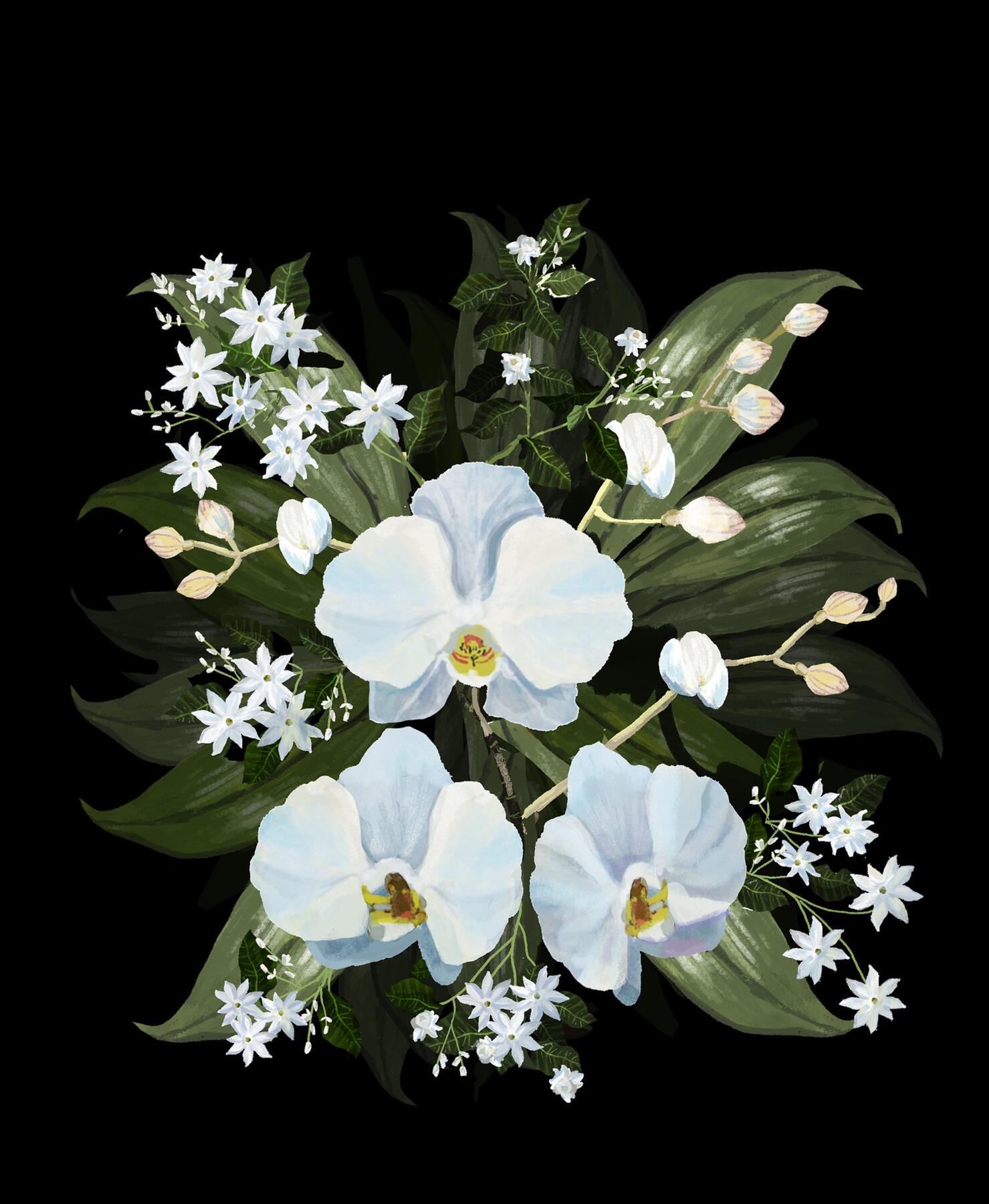 Sampaguita and Phalaenopsis (2021) | Adobe Photoshop